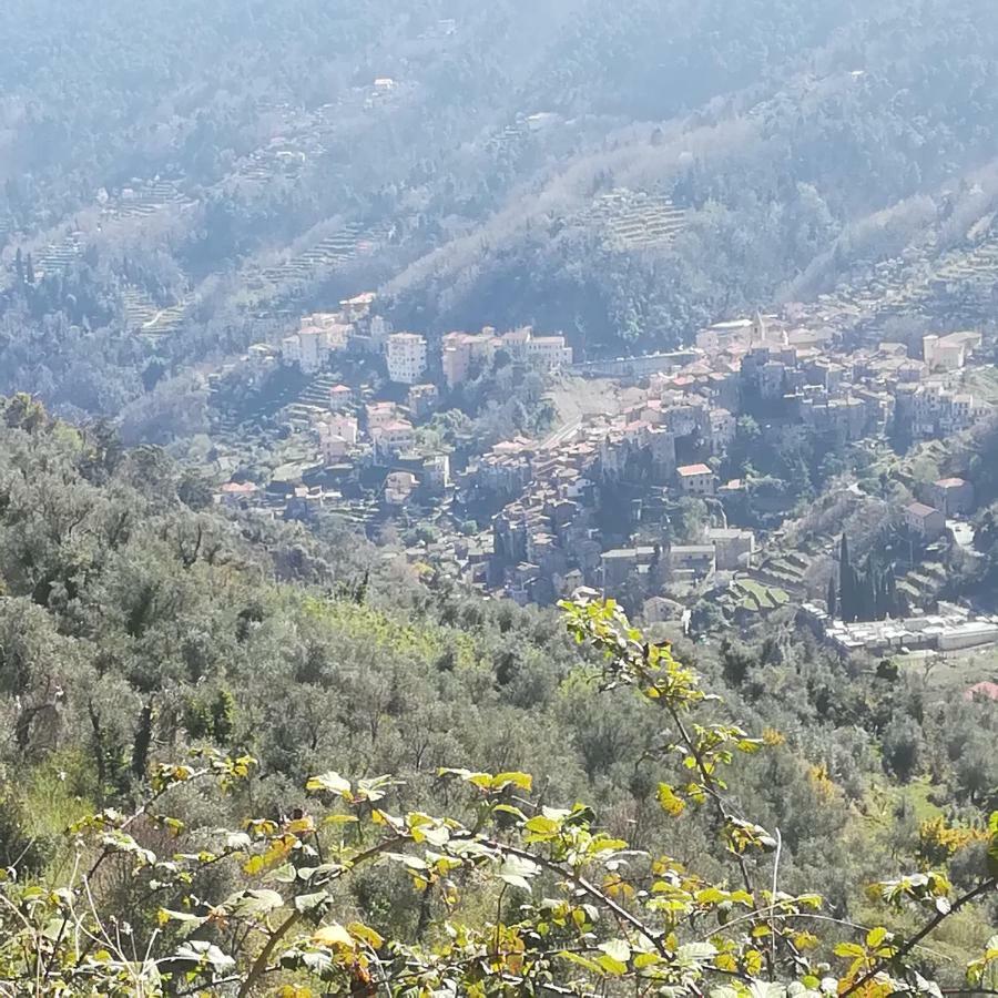 Casa Margherita Διαμέρισμα Ceriana Εξωτερικό φωτογραφία